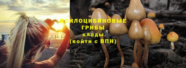 2c-b Зеленокумск