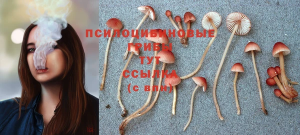 прущий лед Зеленодольск