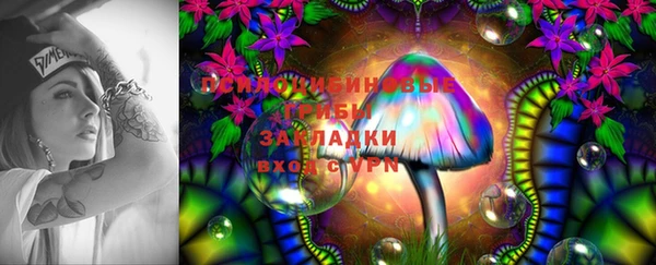 2c-b Зеленокумск