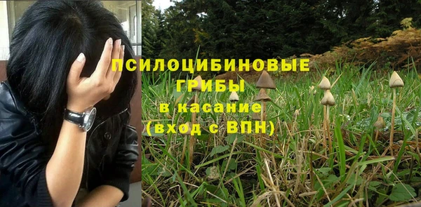 2c-b Зеленокумск