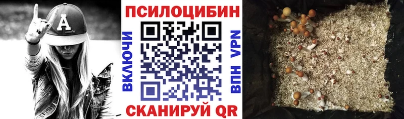 Купить  Ивангород  Псилоцибиновые грибы Psilocybine cubensis 